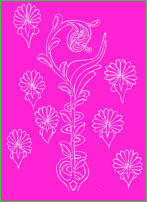 art of flowers blooming