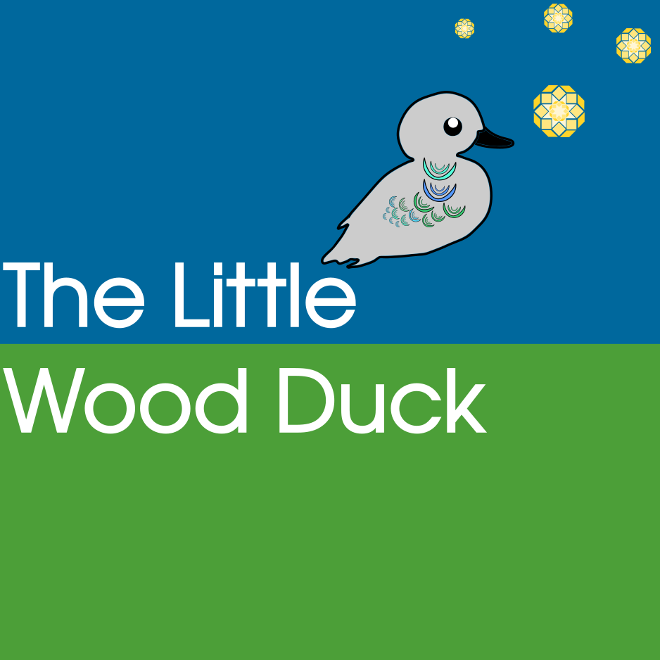 The little wood duck cover title for the book, with a duck gazing up to the stars with a blue and green background.