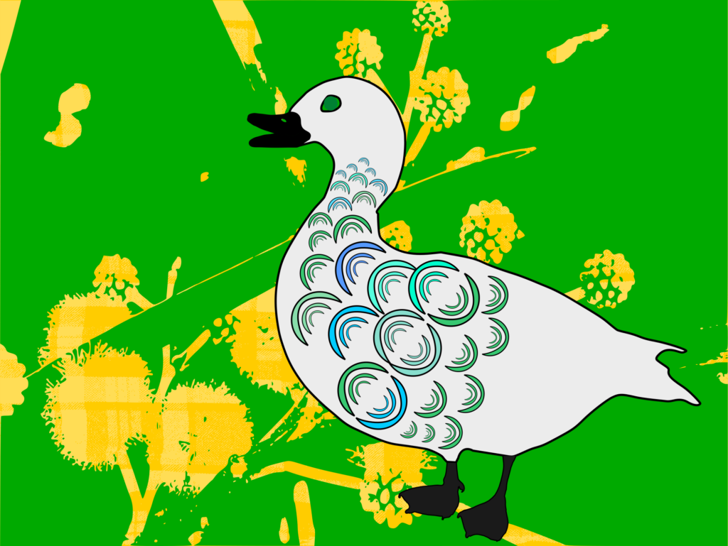 The Mama Wood Duck with the flowers of Acacia plants as a background